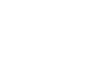 Goose